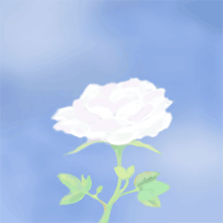 白い薔薇が咲くGIFアニメ