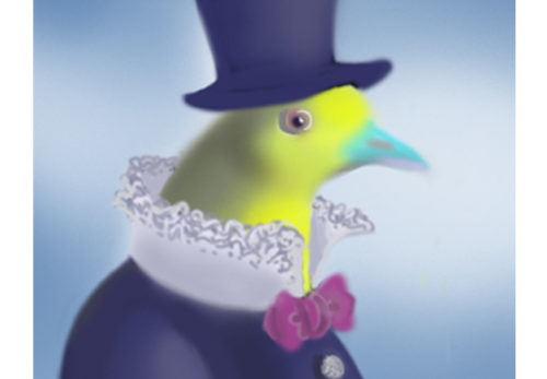 鳥は水先案内人