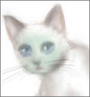 緑色の顔をした猫