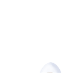 ひよこ天使と料理人