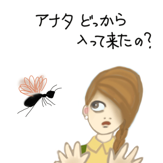 黒い蜂が入ってきた